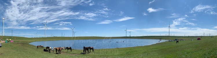 inner Mongolia